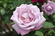 image0212