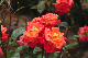 image0216