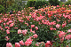 image0220