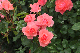 image0221