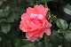 image0223