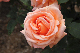 image0224