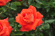 image0225