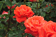 image0227