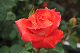 image0228