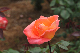 image0232