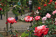 image0234