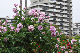 image0236