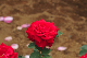 image0241