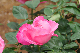 image0248