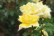 image0250