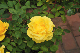 image0258