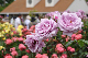 image0261