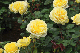 image0262