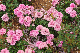 image0265