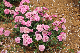 image0266