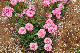 image0267