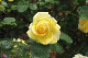 image0269
