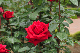 image0270