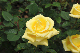 image0272