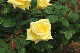 image0273