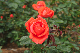 image0279