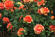 image0282