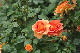 image0283