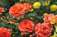image0284