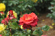image0286