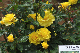 image0287