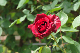 image0289