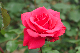 image0290