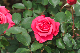 image0294