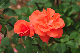 image0297
