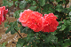image0298