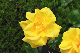 image0299