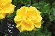 image0300