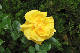 image0301