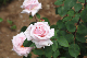 image0302