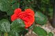 image0303