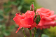 image0304