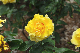 image0307