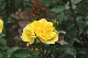 image0308