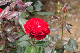 image0312