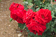 image0313