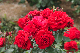 image0314