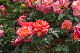 image0316