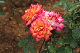 image0317