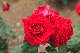 image0319